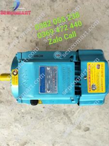 Motor điện cơ 220v 35kw(467 ngựa) 2900v/p chính hãng bảo hành 12 tháng