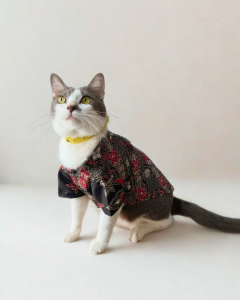 Pet Batik Shirt for Cats & Dogs MERDEKA Edition / Premium Pet Heritage Batik Shirt / Soft Breathable Cat Dog Clothing / Crimson Heritage - Merdeka Heritage Collection