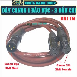Dây Canon Đực ra 2 Canon Cái dài 1M - Dây Canon Đực ra 2 đầu cái - XLR Male to Dual XLR Female Y Splitter Cable