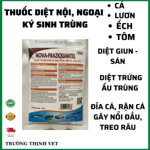 "Hoàn tiền đến 10%" Thuốc trị nội ngoại ký sinh trùng cho cá lươn ếch tôm gói 100g. Diệt giun sán trứng và ấu trùng trùng mỏ neo bánh xe sán lá đỉa cá rận cá. Thú y Trường Thịnh