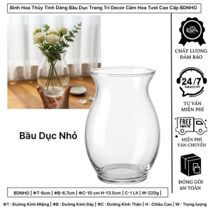 Bình Bông Lọ Hoa Thuỷ Tinh Dáng Bầu Dục Nhỏ Tặng Kèm Dây Bố Trang Trí