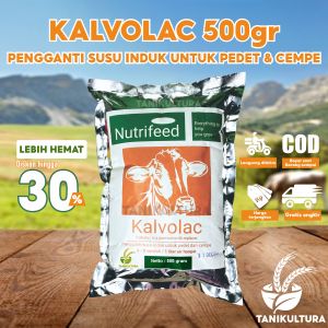 Susu Kalvolac Original 500 Gram Kalvolak NutriFeed Pengganti Susu Induk Ternak Susu Kambing Sapi