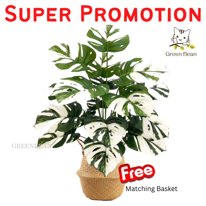 [SG SELLER] Artificial Plant Fake Plants Fake Tree Plant Home Office