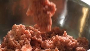 Kinyubi 金手指 杏仁纸 Almond / Cheese /Seaweed/Stock fish/ Squid Bak Kwa Tissue SNACKS Kinyubi Snack Kirby Snack - Lazada