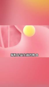 Instant Coffee Inulin raw material pure powder water-soluble dietary fiber 菊粉 益生菌