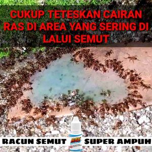 RACUN PEMBASMI SEMUT RAS SUPER AMPUH OBAT RACUN ANTI SEMUT PENGUSIR SEMUT MERAH SEMUT RANGRANG PEMBASMI SERANGGA RACUN SEMUT TERBAIK RACUN TETES CAIR