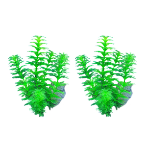 Aquariums Handicrafts Artificial Stone Grass Crafts Decorations Fish Tanks Supplies Sea Art Crafts Decorations