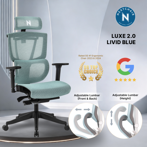 Next Office Chairs vs. Popular WFH Brands in Singapore: Value and Features Compared
