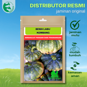 Benih Labu Waluh Kuning KEMBANG 25 Biji Urban Farming Unggul Besar Produksi Tinggi