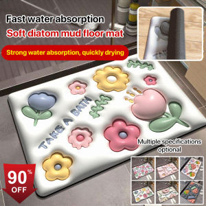 Diatom Mud Super Absorbent Floor Mat: A Comprehensive Guide