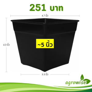 กระถาง กระถางแคคตัส กระถางสี่เหลี่ยม ขนาด 5 4.6 นิ้ว สีดำ 50 ใบ ชิ้น อัน