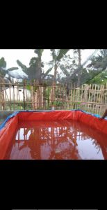 TERPAL A20 UKURAN 4X5 METER PALING TEBAL/TERPAL KOLAM/TERPAL TENDA/TERPAL TRUK/TERPAL MUATAN