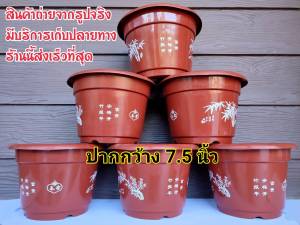 กระถาง กระถางต้นไม้ พลาสติกเกรด A ขนาด7.5 นิ้ว เหนียว หนา ทน แพ็ค 5ใบและ10ใบ สีน้ําตาลสวยพร้อมลวดลาย