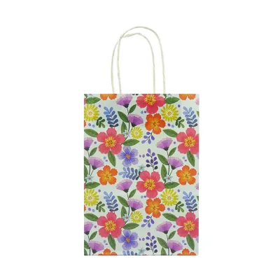 HS-033/HS-034 Decorated Party Paper Bag