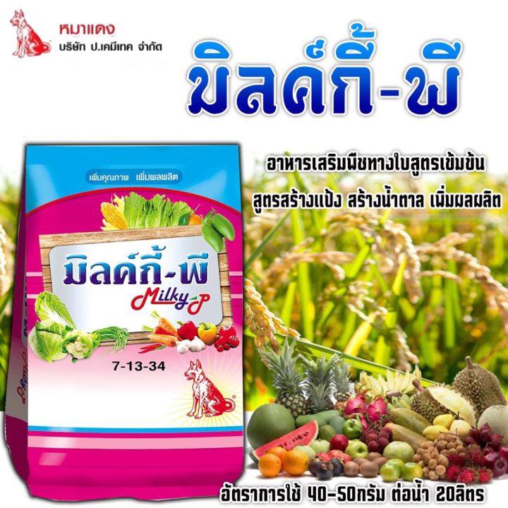 ปุ๋ยเกล็ด 7-13-34 มิลค์กี้-พี ตราหมาแดง ดอกดก ผลสีสด