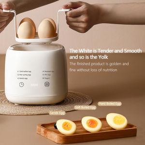 Electric Office Kitchen Egg Cooker Egg Boiler Egg Steamer 煮蛋神器 蒸蛋器
