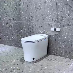 AUREO Inligent toilet - fully automatic household foam shield - no water pressure limit - integrated electric inligent toilet seat