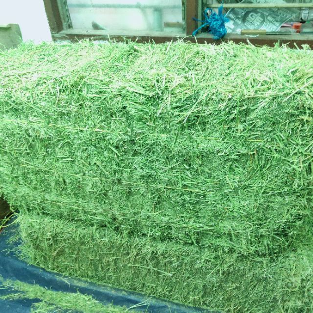 ALFALFA/ TIMOTHY HAY IMPORTED 10KG Lazada