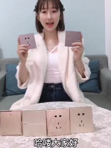 国际电工开关插座家用86型暗装灰金白二三插五孔USB单联双控卧室Juruelektrik antarabangsa tukar soket rumah jenis 86 menyembunyikan putih emas kelabu dua tiga palam lima lubang USB bilik kawalan double tunggal