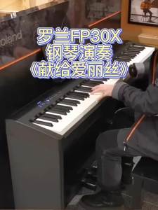 Roland Roland Electric Piano FP30X Digital Electronic Piano 88 Key Weight Hammer Household Beginner Professional