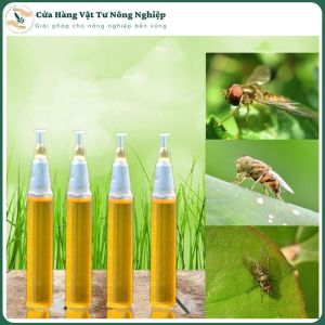 [MỚI] ỐNG DẪN DỤ RUỒI: Thu Hút Côn Trùng Gây Hại Cây Ăn Quả - Kết hợp với bộ dụng cụ bẫy ruồi tăng hiệu quả
