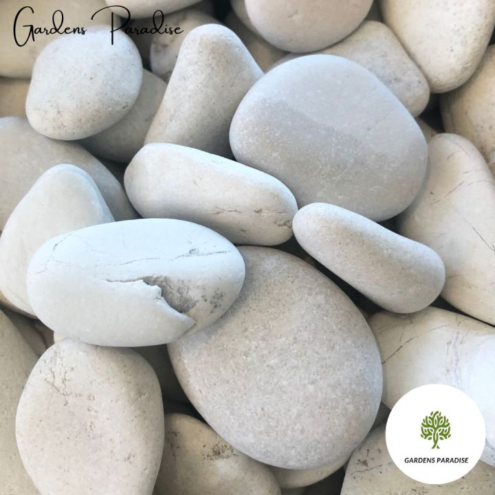 Ivory Pebbles White Ivory River Pebble For Landscape Decoration By Gardens Paradise ...