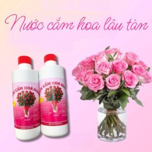 DUNG DỊCH NƯỚC CẮM HOA TƯƠI LÂU 500ML COMBO 2 CHAI | THUỐC DƯỠNG HOA GIỮ HOA BỀN MÀU