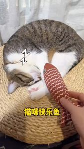 New Cat Scratching Mat with Mint Toy Sisal Carpet Cat Scratching Pad Claw Board Mattress Rattan Living Room Decorative