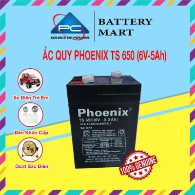 Ắc Quy PHOENIX TS 650 6V-5Ah - Chuyên Dùng Cho Nguồn Dự Phòng (UPS Inverter ...)