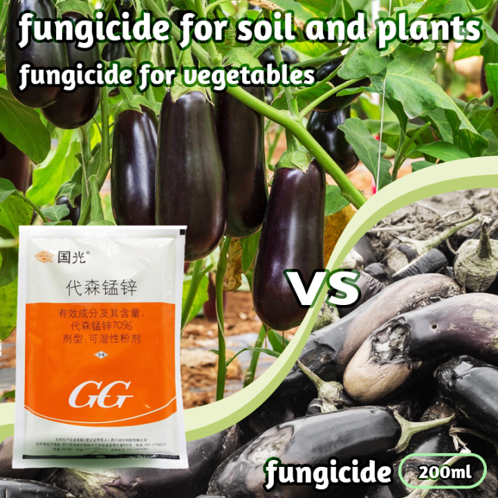 mancozeb fungicide (70%) 100g Control melons Damping off Smut Damping ...