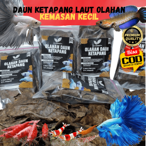 DAUN KETAPANG LAUT KEMASAN KECIL PREMIUM UNTUK IKAN CUPANG CHANA HASIL FERMENTASI