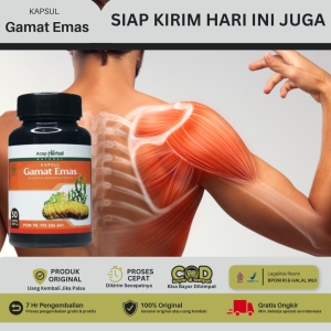 Obat Kapsul Gamat Emas untuk Encok Sakit Tulang Belikat dan Tulang Belakang