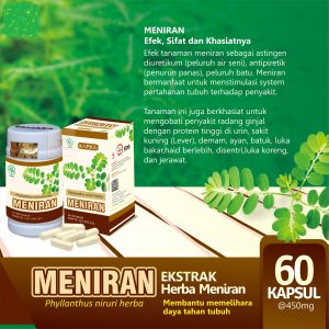 Ekstrak Kapsul Daun Meniran  Obat Daya Tahan Tubuh Suplemen Herbal Imun Imunomodulator isi 60 kapsul