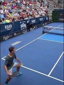 3K Carbon Fiber Pickleball Paddle - Professional UASPA Certified Paddle with PP Honeycomb Core for Outdoor Sports Training & Competition ()