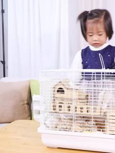 Insulation Hamster Cage House Savic Hamster Cage Large Hamster Cage Basic Cage Set Complete Savic Hamster Cage Large