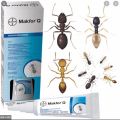 Bayer Makfor® Q Ant Gel 30g / Umpan Semut / Imidacloprid 0.03% w/w / 100% Original. 