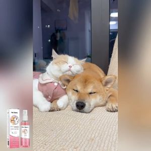 【SG】Pet Story Pet Cologne for Dogs & CatsMild Gentle Formula for All Pets4 Fresh Fragrance OptionsUltra-Fine Mist Spr
