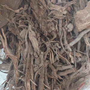 Rễ Cây Dừa mục 1kg (đã phơi khô) . được dùng làm giá thể trồng cây