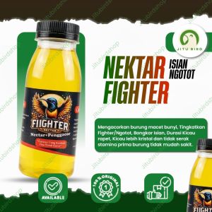 NEKTAR SOGON FIGHTER NECTAR