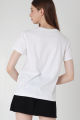 Áo Thun Nữ Cao Cấp Premium Cotton Sure,Thoả Mái, mềm mại, thoáng khí, nhẹ tênh, an toàn cho da bạn sẽ cảm nhận rõ ràng khi sỡ hữu và mặc sản phẩm này,. 