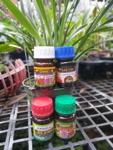 Bộ tứ Úc MINI giúp cây phát triển toàn diện - 100ml (MSP171080) - Mai Huy