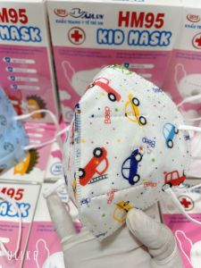 1 hộp (10 chiếc) Khẩu Trang trẻ em N95 HM95 kháng khuẩn chống bụi mịn Pm2.5 CHÍNH HÃNG