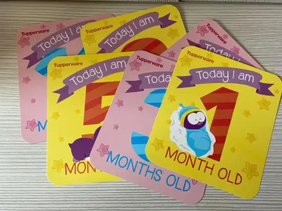 Tupperware Learning Baby flipcard / Baby Milestone Cards - 1 set