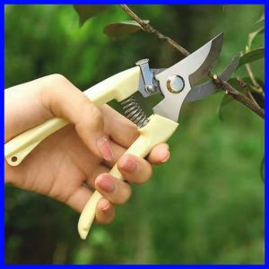 กรรไกรตัดกิ่งไม้ ตัดแต่งกิ่งไม้ กรรไกรทำสวน ปากโค้ง อุปกรณ์จัดสวน ทำสวน