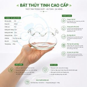 Chậu Thủy Tinh Dáng Sóng Trồng Cây Decor Để Bàn Tặng Kèm Hạt Tinh Thể Và Thú Nở Vui Nhộn B16