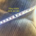 Dây Đèn Led Dán Tường - Tủ - Gương SAMSUNG KOREA chip 2835, 120led/met Siêu Sáng (Vàng Nắng, Vàng, Trắng) 12v. 