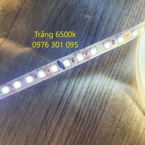 Đèn Led Dây 5m 12v 2835 120 led (Trắng - Vàng - Vàng Nắng 4000k)
