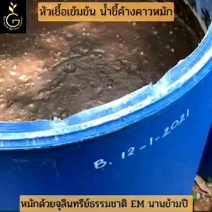 น้ำหมักขี้ค้างคาว ปุ๋ยมูลค้างคาว น้ำหมักชีวภาพ (1 ลิตร) 199 ฿ น้ำหมักมูลค้างคาวกินเเมลง อุดมไปด้วยธาตุอาหารหลัก รอง เสริม เน้นบำรุงดอก ดก ใหญ่ สมบูรณ์ ขั้วเหนียว ผลโต สีสวย รสชาตดี