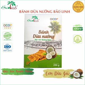 Bánh Dừa Nướng Bảo Linh - Đặc Sản Truyền Thống Quảng Nam - Thơm Ngon Giòn Béo Ít Ngọt - Hộp 250g
