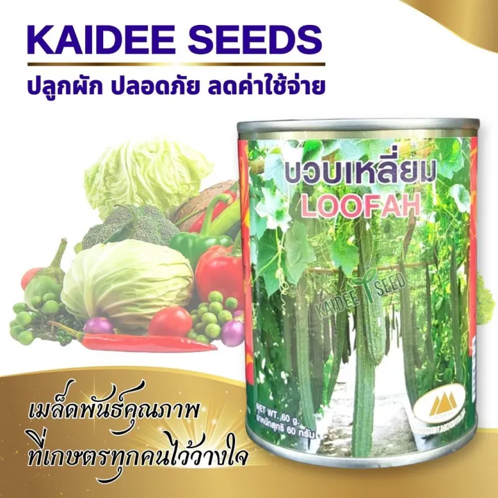 เมล็ดบวบเหลี่ยม ตราภูเขาทอง Loofah ผลดกคุณภาพสูง